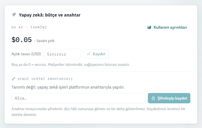 Postimia yapay zekâ bütçe kartı: bu ayki tahmini harcama, aylık tavan ve kendi Gemini anahtarınız.